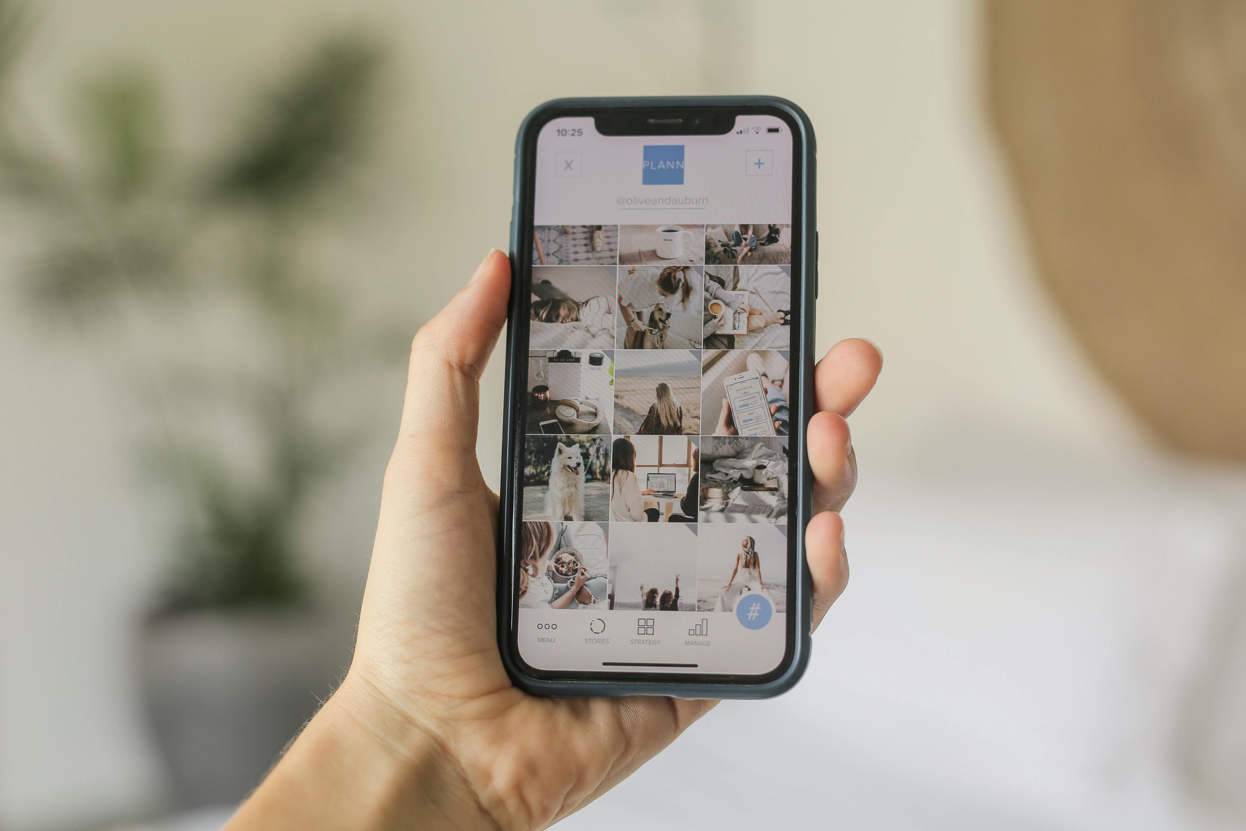 pexels-plann-2999237-4565774